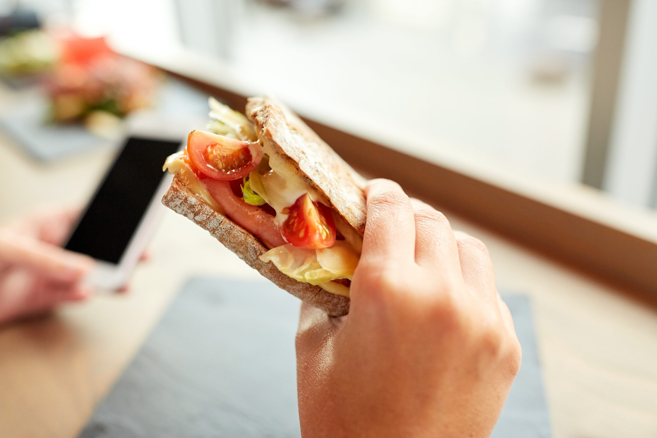 hand with salmon panini sandwich at restaurant